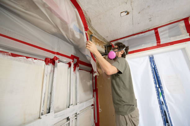  Essex Fells, NJ Mold Removal Pros