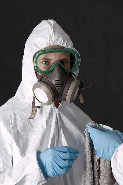 Best Post-Remediation Verification Testing  in Essex Fells, NJ